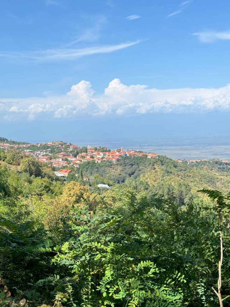 «Гамарджоба, Грузія: Батумі, Тбілісі + хінкалі»