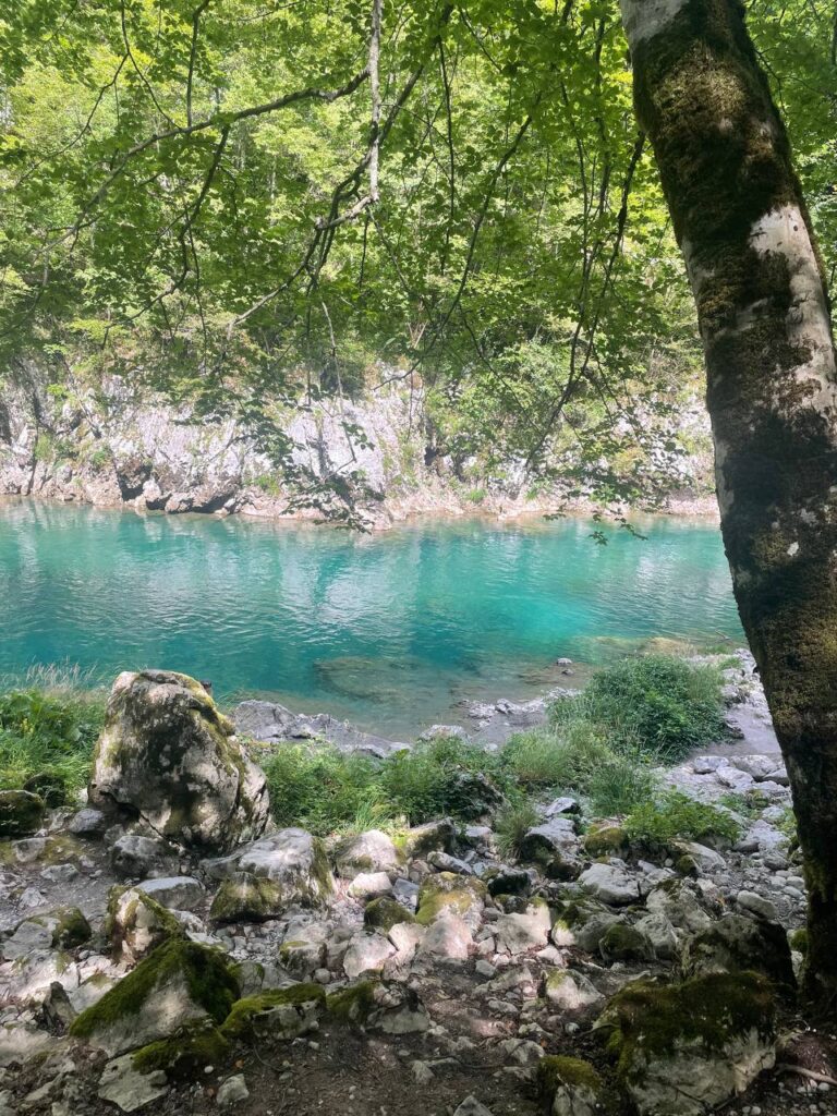 «Країна гір і моря… Моя Чорногорія»