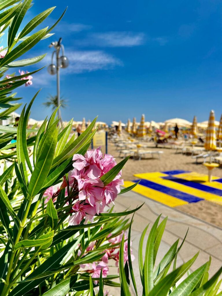 «Італія серце Адріатики: 6 ночей на морі в Ріміні»