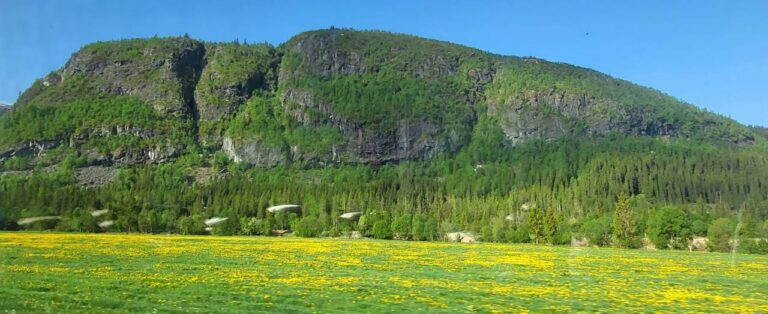 «Скандинавський Хіт: Льодовик Нігардсбрін, Атлантична Дорога, Дорога Орлів та Тролів, гора Далснібба, 6 фіордів та 4 столиці!»