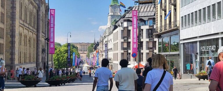 «Скандинавський Хіт: Льодовик Нігардсбрін, Атлантична Дорога, Дорога Орлів та Тролів, гора Далснібба, 6 фіордів та 4 столиці!»