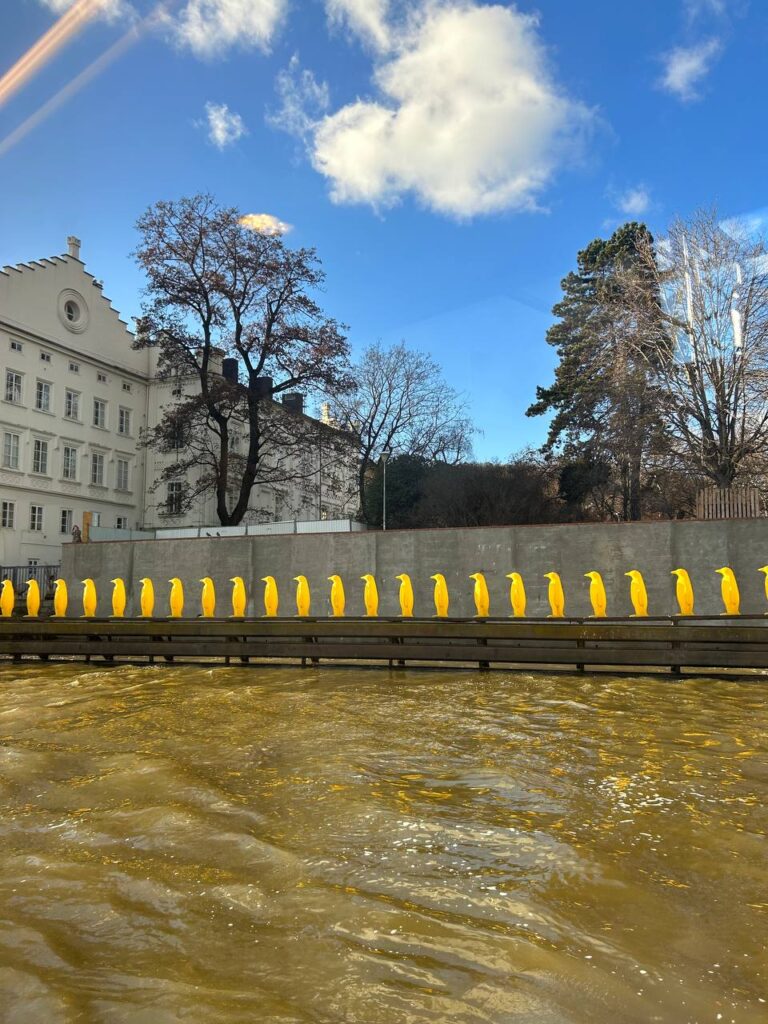«Яскраві три дні в Швейцарії + Монблан»