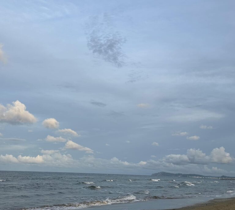 «Мелодії Адріатичного моря»