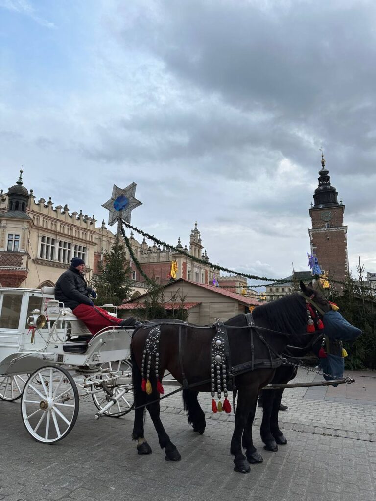 «Випускний у Кракові + Енерджіландія»