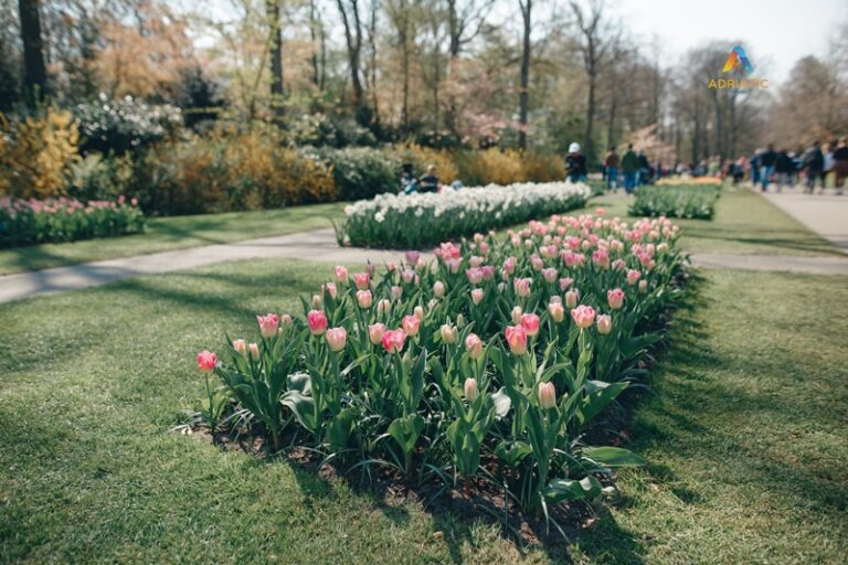 «Скажіть Парижу “ТАК”: 4 дні в Парижі»