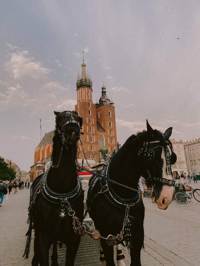 «Прага – місто, яке обрало мене»
